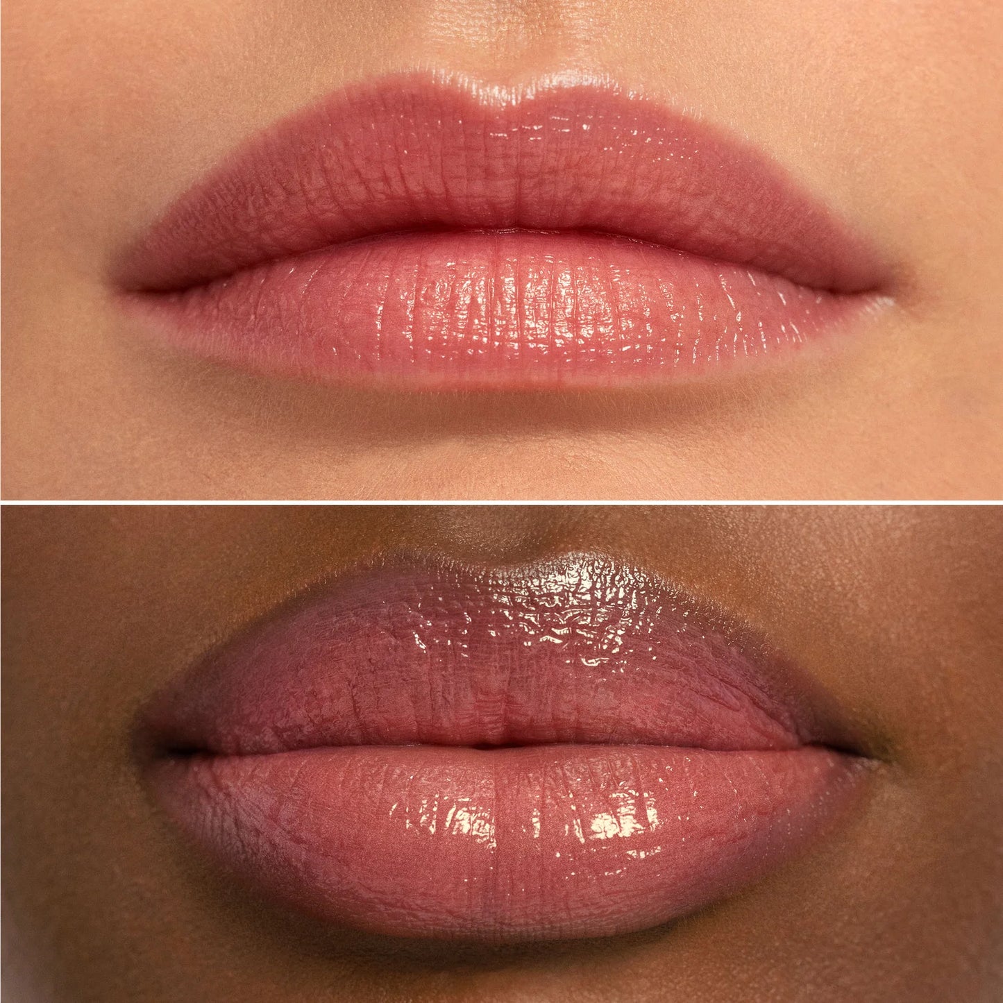 Les Papillons Lip Sheer - Monarch
