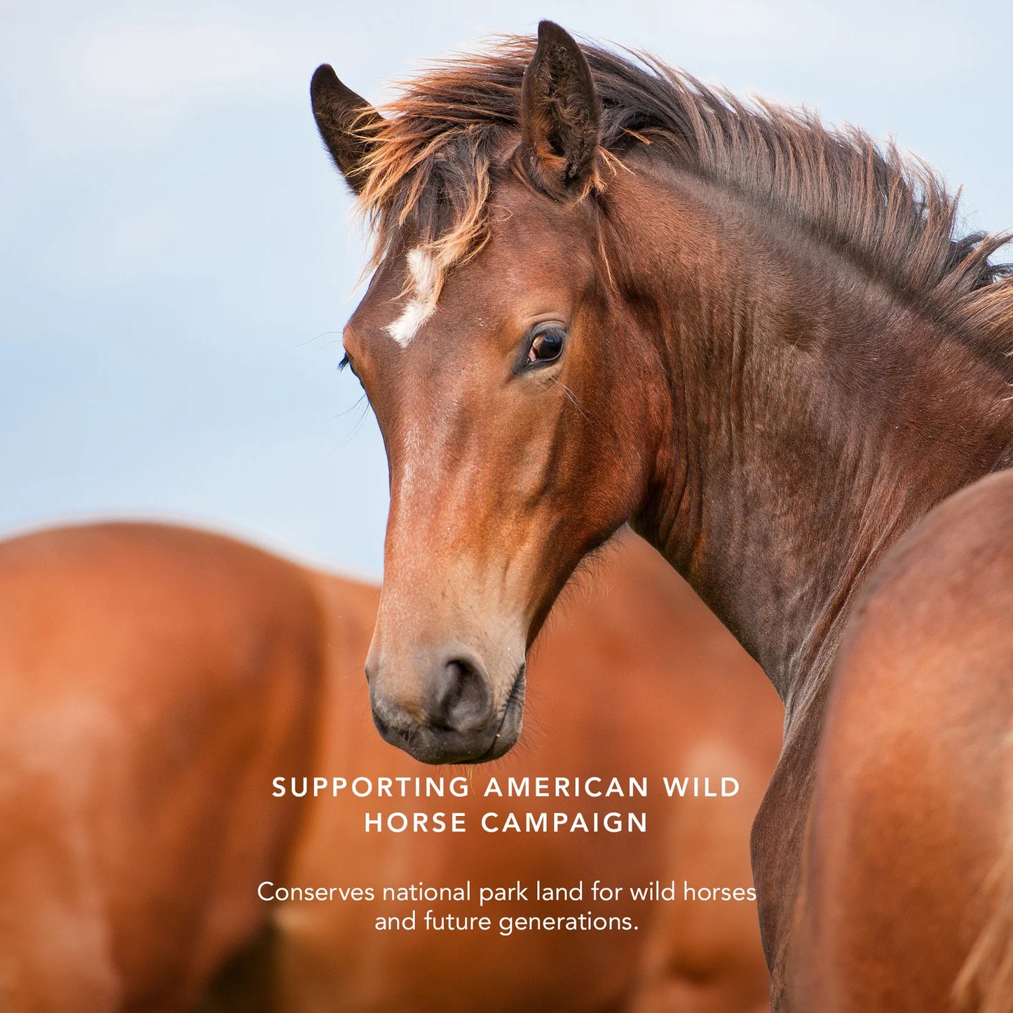 Luminescent Eye Shade - Mustang