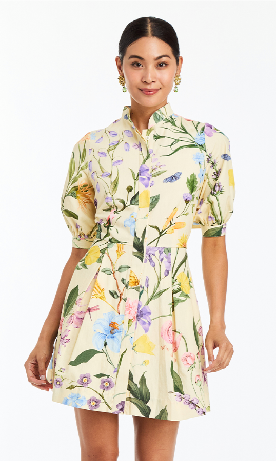 Brooklyn Mini Dress - Blooming Vine