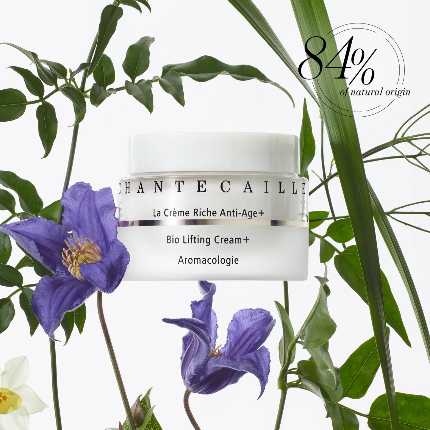 Bio Lifting Cream+
