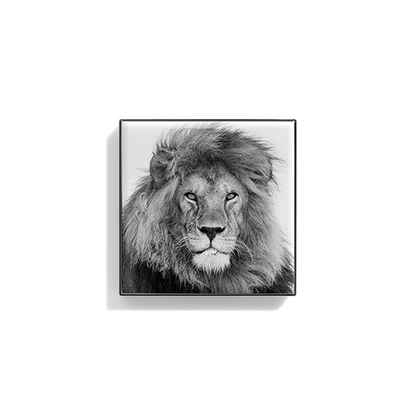 Luminescent Eye Shade - Lion