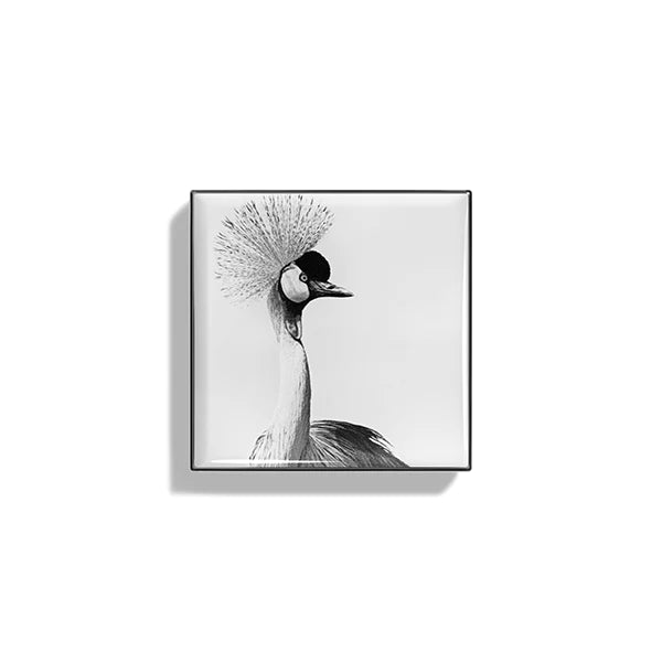Luminescent Eye Shade - Crane