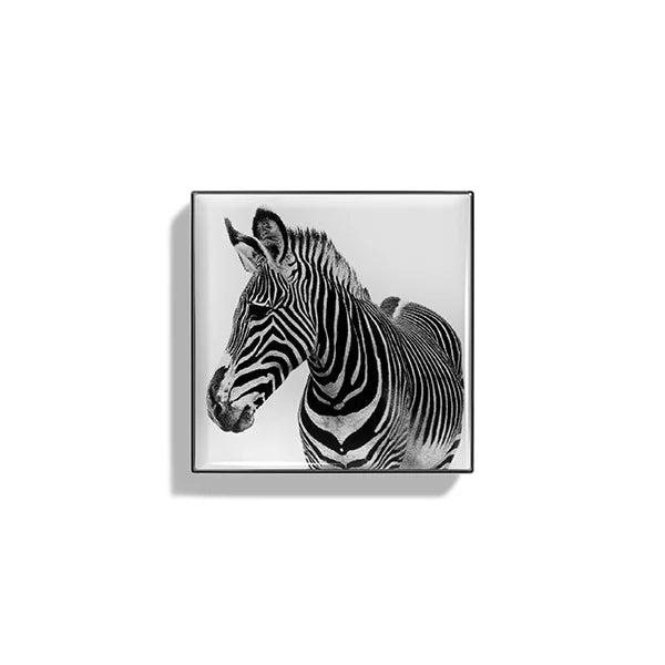 Luminescent Eye Shade - Zebra