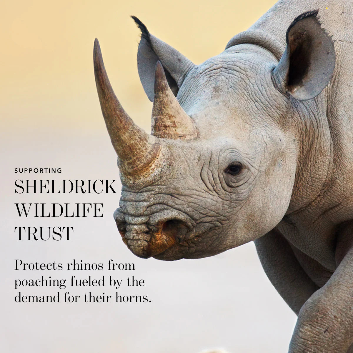 Luminescent Eye Shade - Rhinoceros