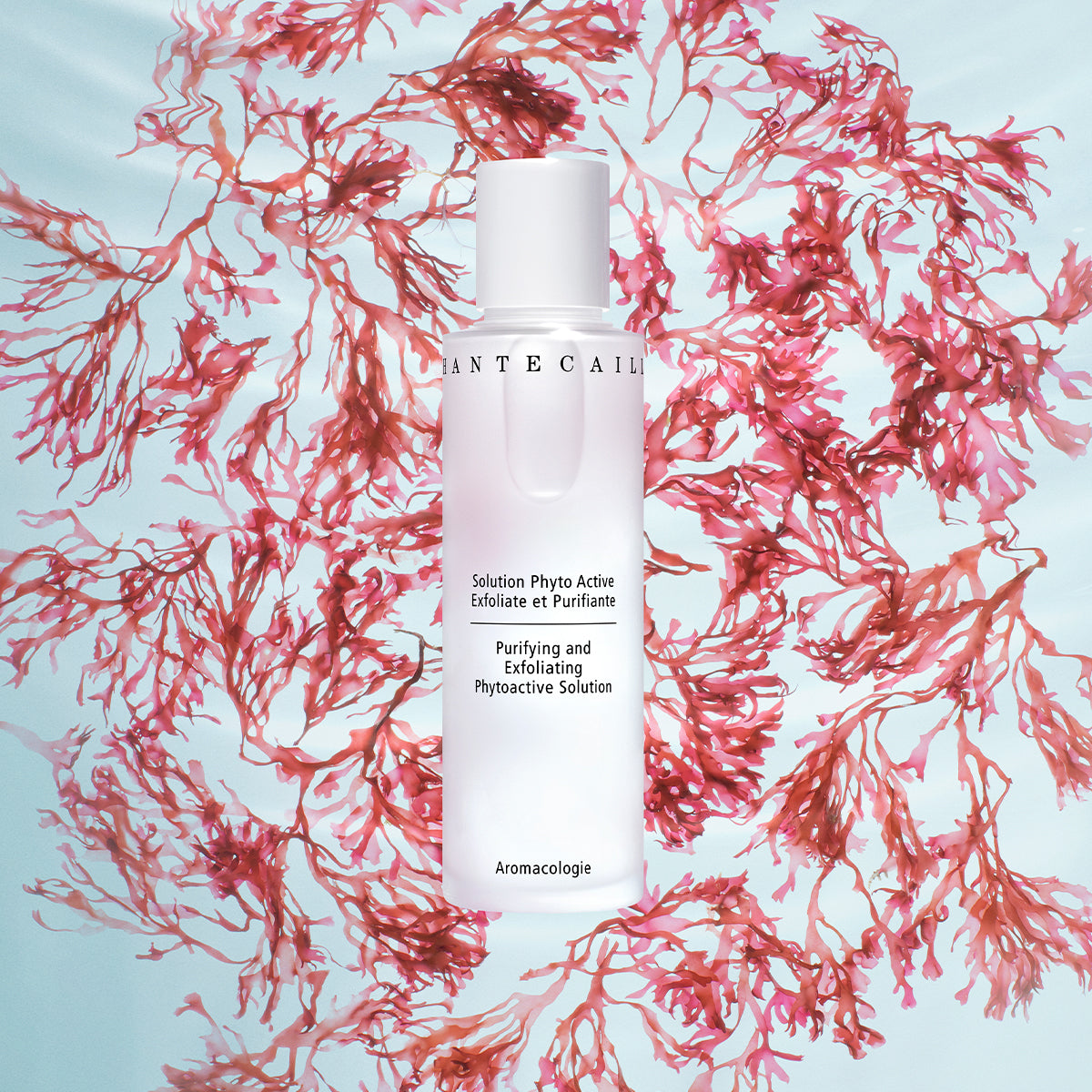 Purifying & Exfoliating Phytoactive Solution