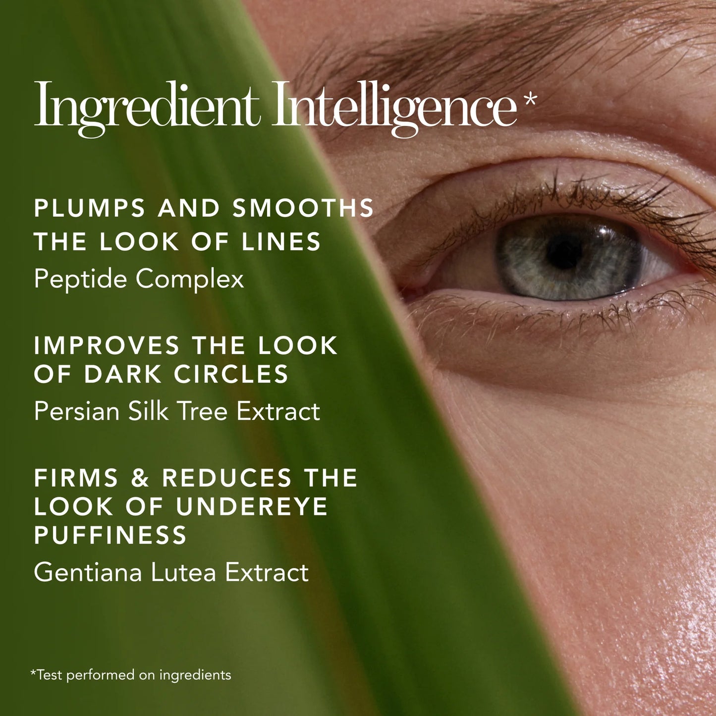 Bio Lifting Concealer