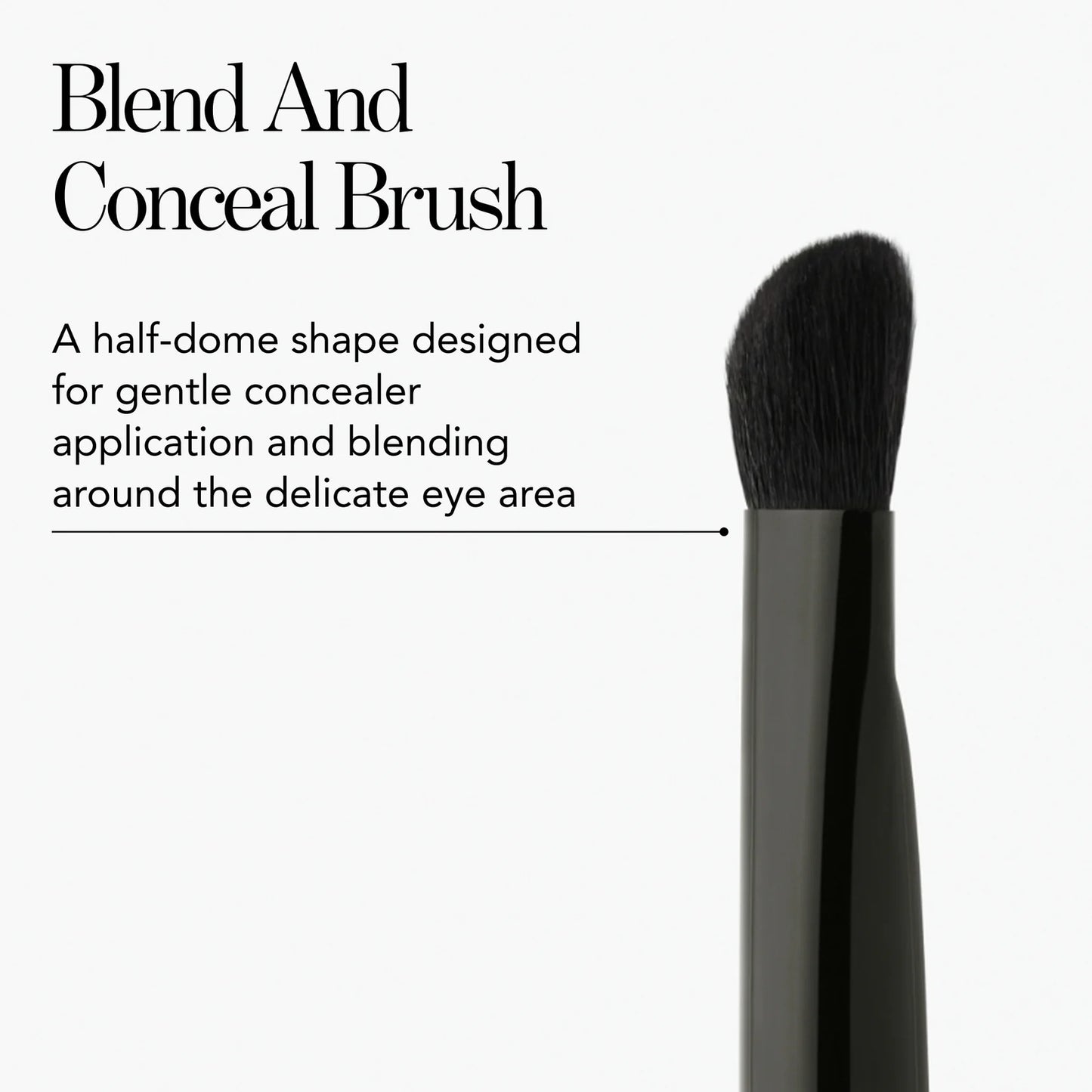 Blend and Conceal Brush