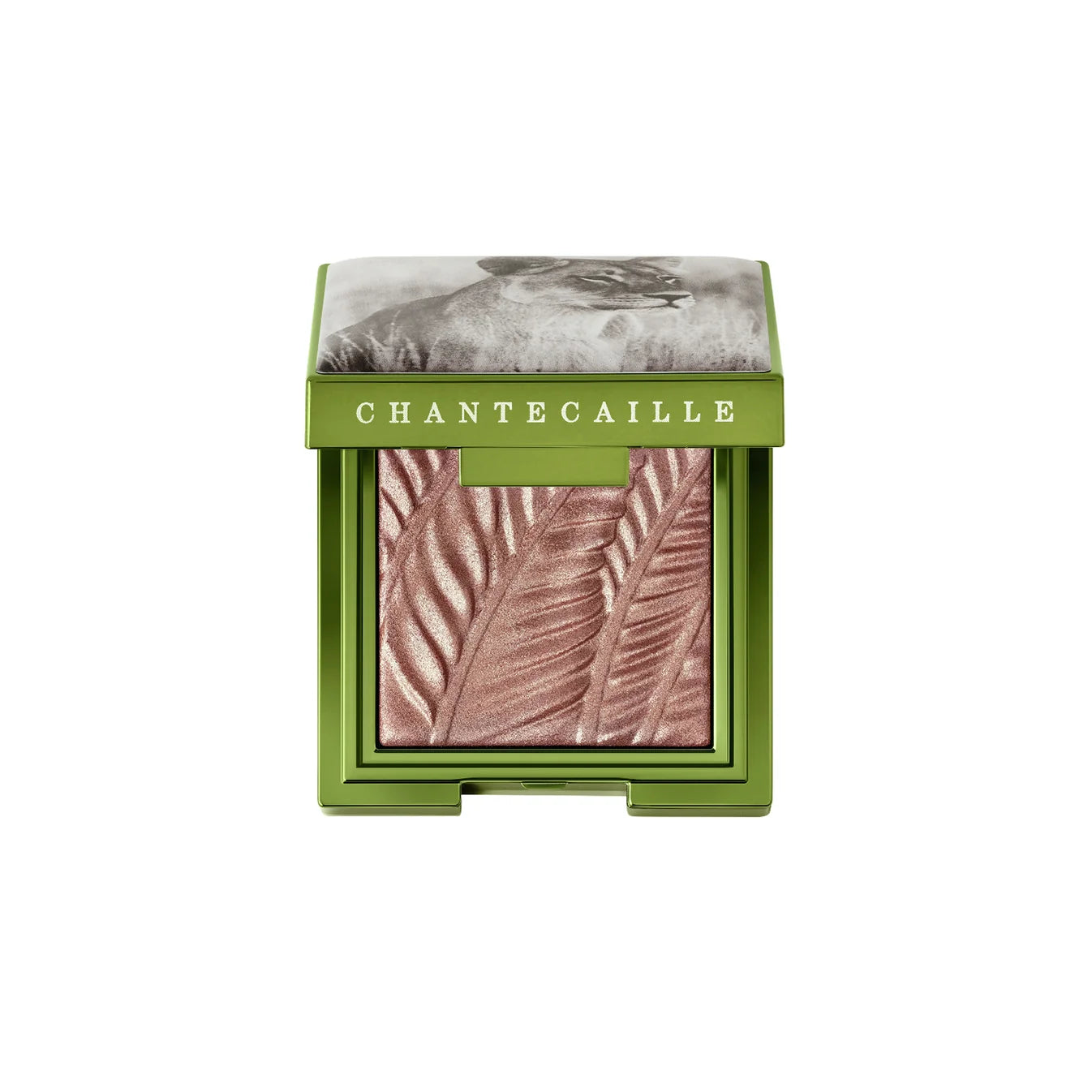 Luminescent Eye Shade - Lion Collection