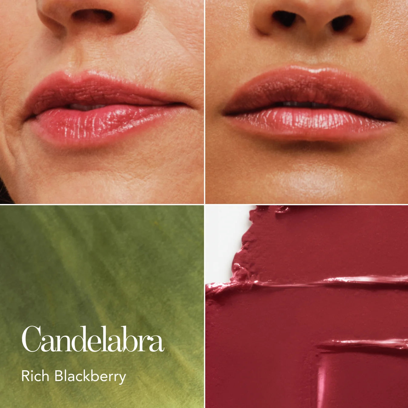 Lip Veil - Lion Collection