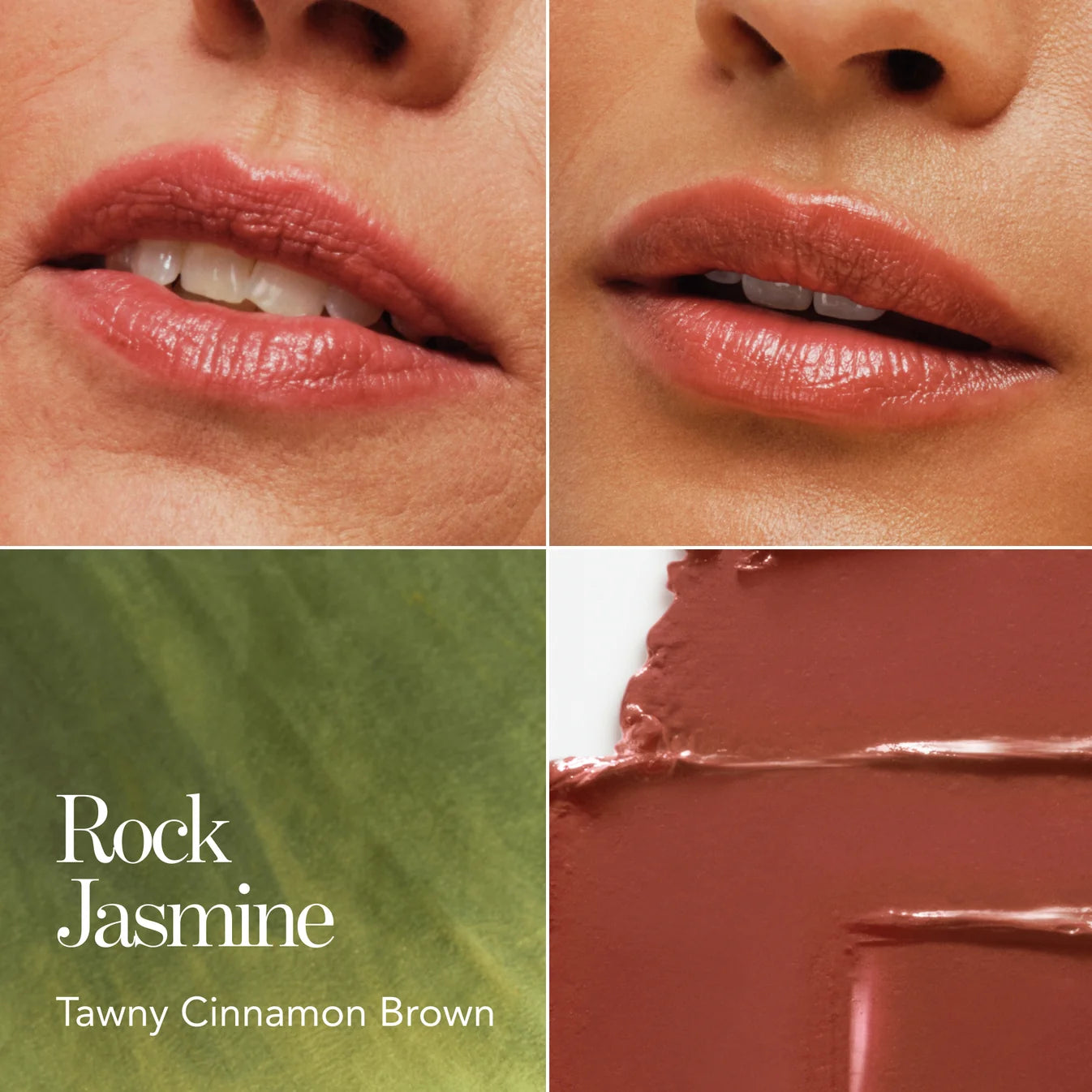 Lip Veil - Lion Collection