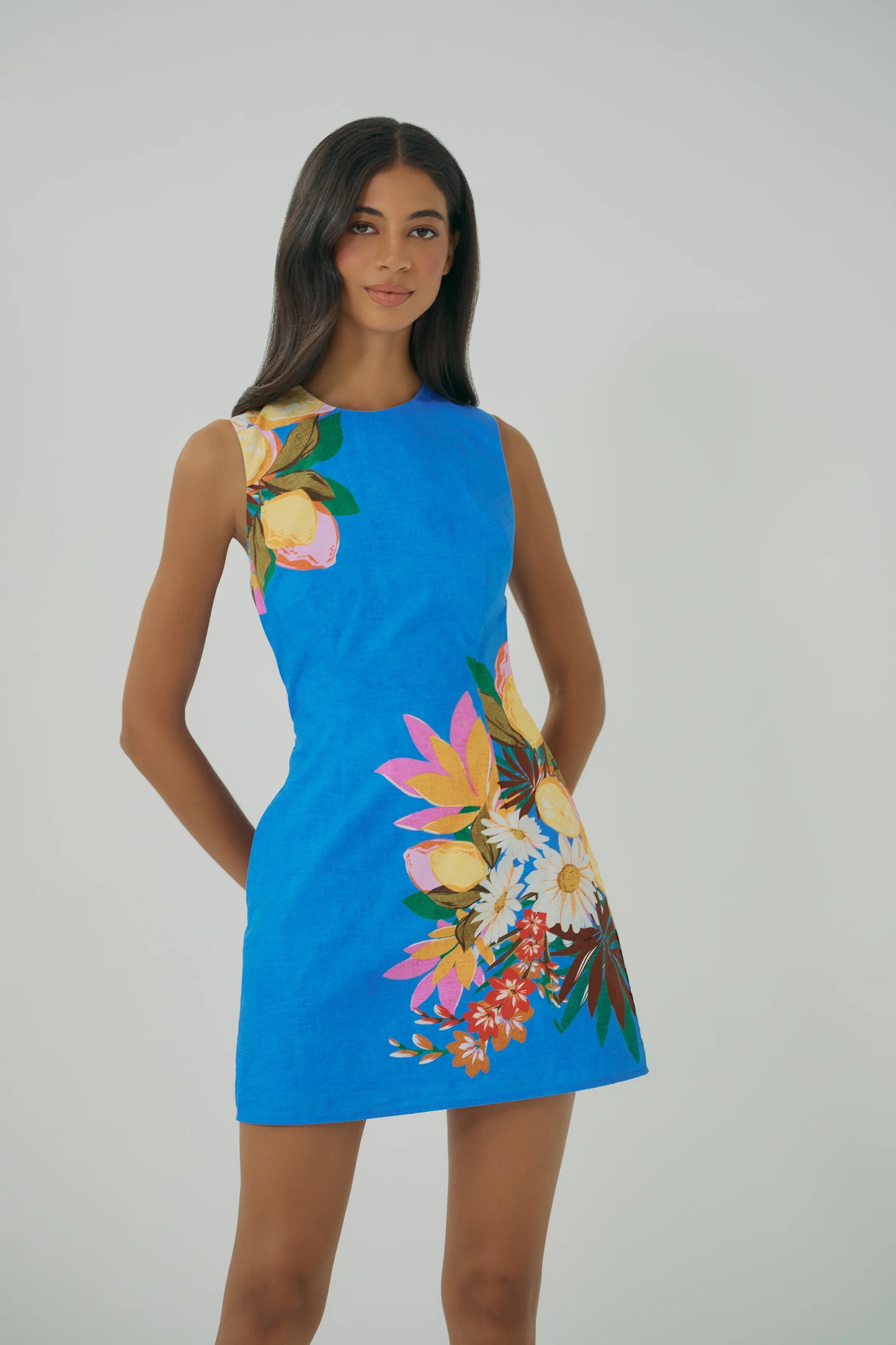 Janesta Dress - Blue/Multi