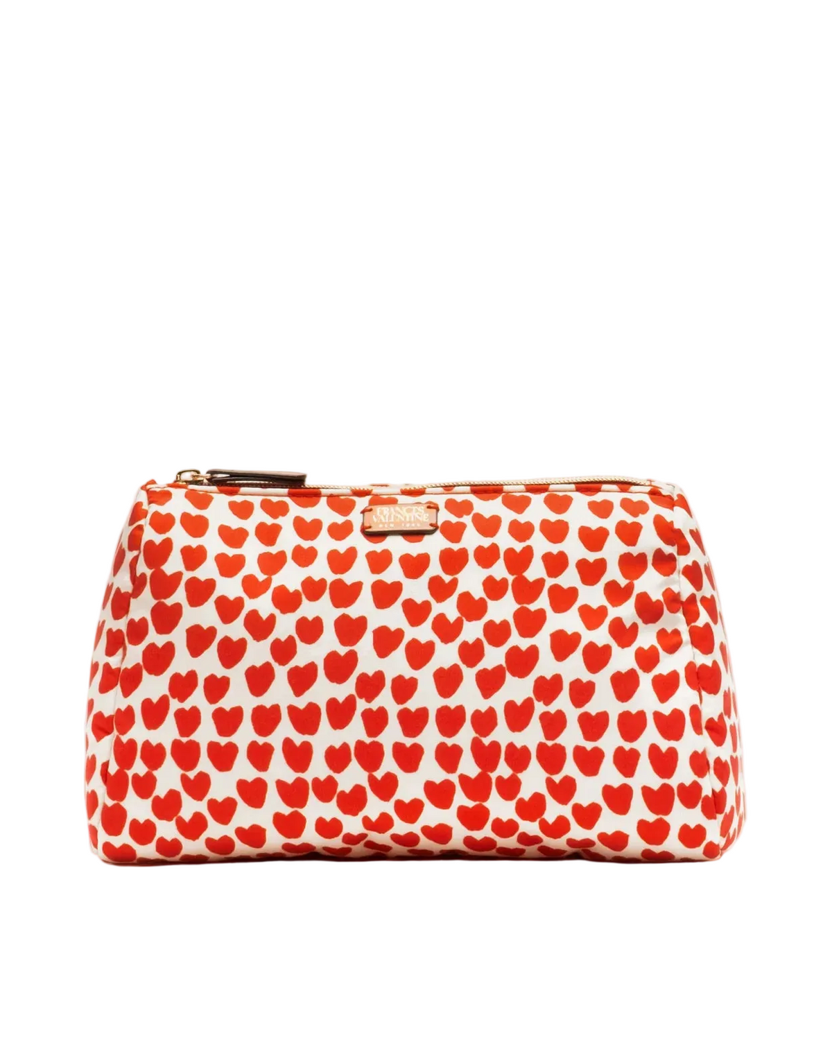 Large Cosmetic Case