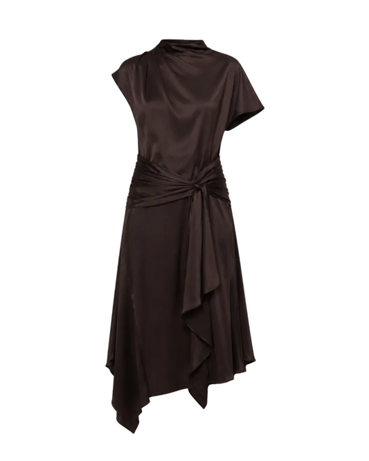 Davina Silk Dress - Earth